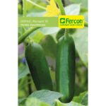 Semillas de Pepino Poinsett