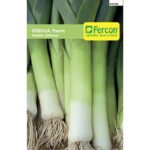 Semillas de Cebolla Puerro