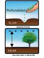 Semillas De Guayaba Roja - Imagen 2