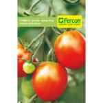 Semillas de Tomate Chonto Santa Cruz