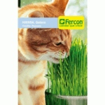 Semillas De Hierba Gatera X 2gr