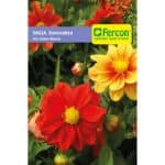 Semillas De Dalia Flor Doble Mezcla  X 0.5gr