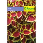 Semillas De Gitana Mezcla Arco Iris X 0.3gr