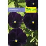 Semillas de Pensamiento Gigante Casi Negro X 0.3gr