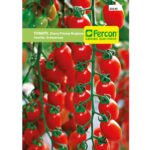 Semillas de Tomate Cherry Principe Borguese