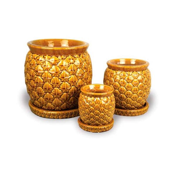 SET X3 PIÑAS - Imagen 2