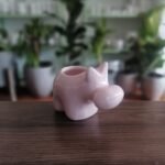 Hipopótamo Pequeño