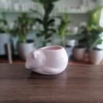 Gato Acostado Pequeño