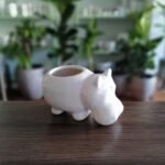 Hipopótamo Cabezón