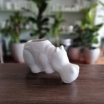 Hipopótamo Chismoso