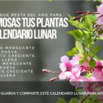 calendario lunar para plantas