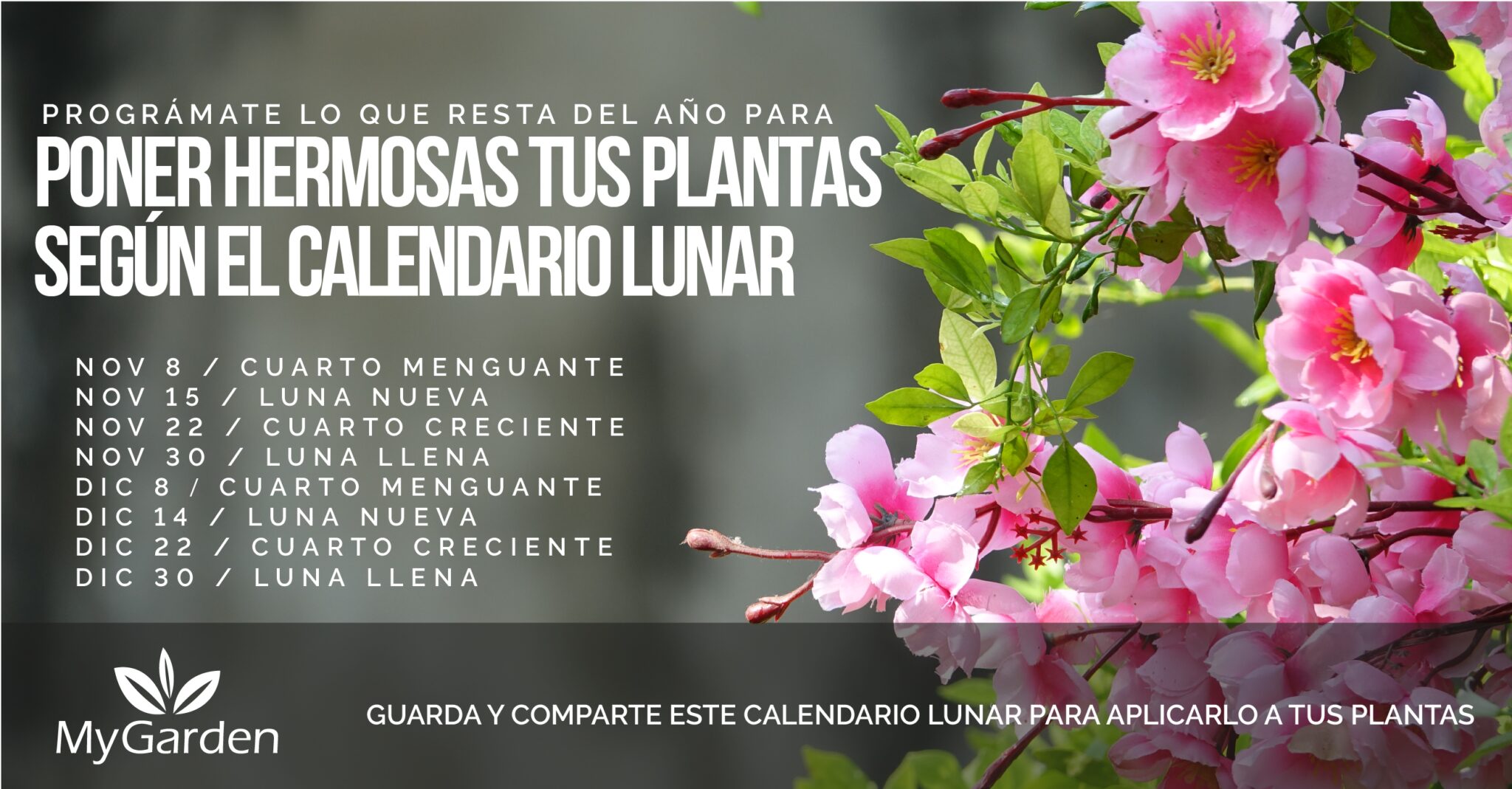 Calendario Lunar para Cultivar y Cuidar nuestras Plantas My Garden