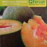 Semillas De Melon Halest Best Jumbo
