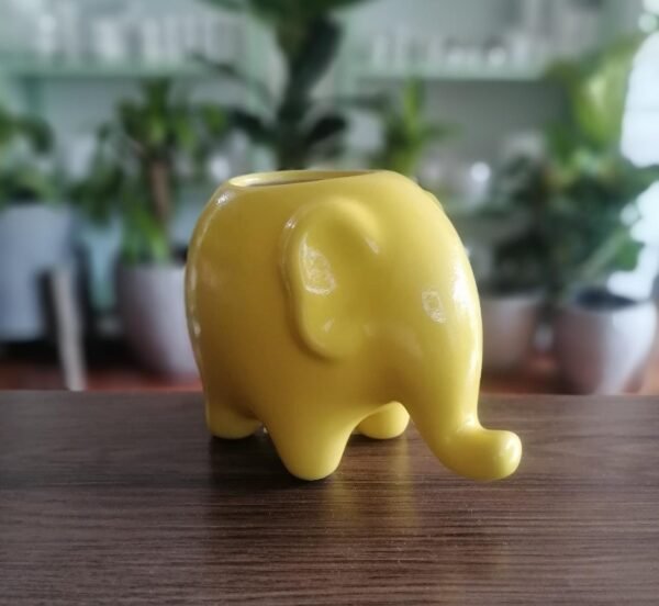 Elefante Jumbo - Imagen 1