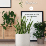 Siembra en Tienda Planta Mediana