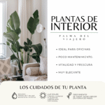 PALMA DEL VIAJERO - Imagen 4